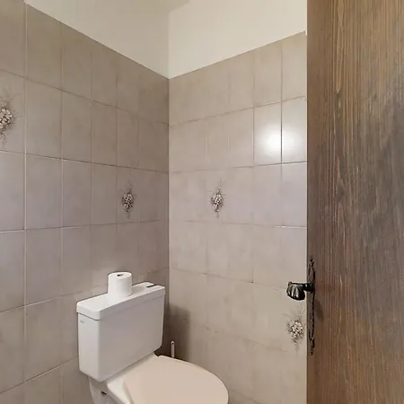 Apartment Polaschin *