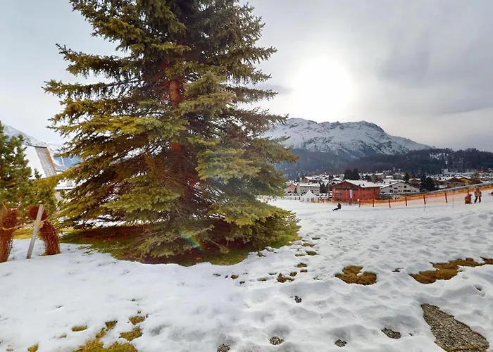 Polaschin Celerina/Schlarigna